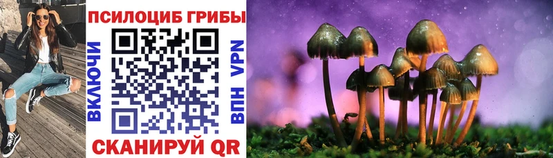 Галлюциногенные грибы Magic Shrooms  Почеп 