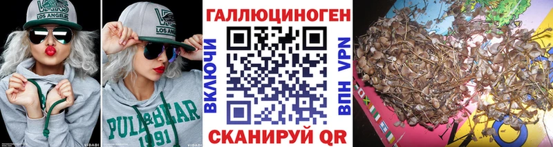Галлюциногенные грибы мухоморы Почеп